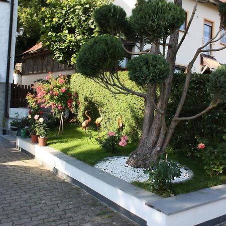 גוסוויינשטיין Ferienwohnung Im Gruenen מראה חיצוני תמונה
