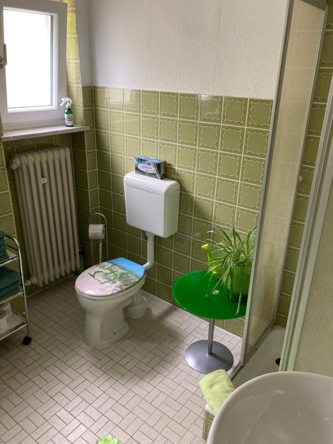 גוסוויינשטיין Ferienwohnung Im Gruenen מראה חיצוני תמונה