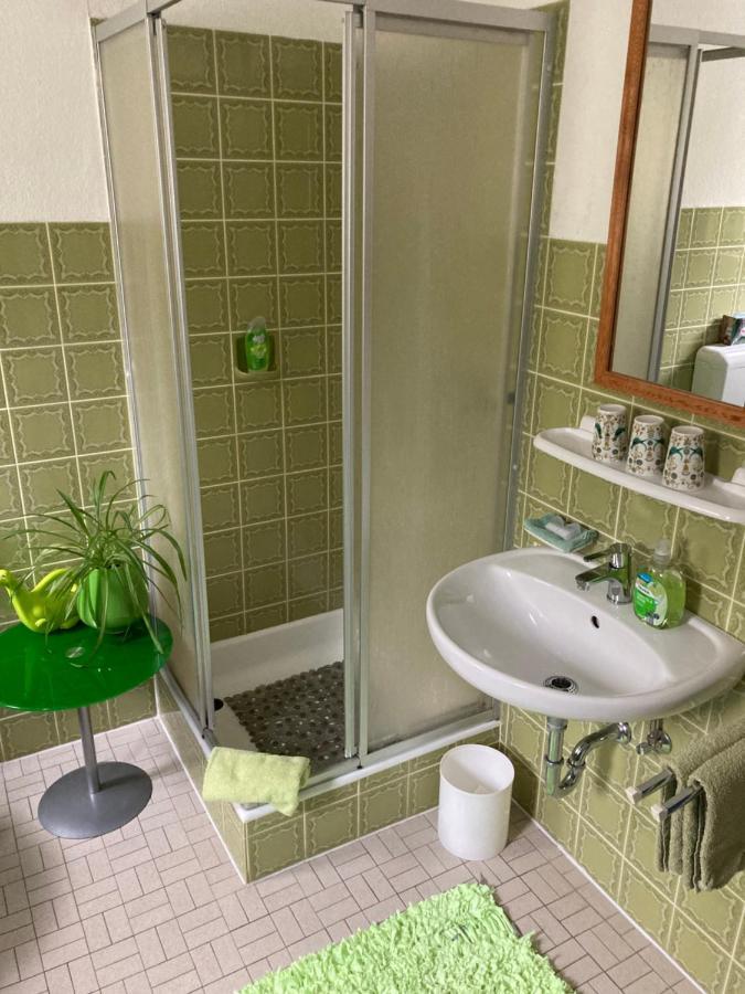 גוסוויינשטיין Ferienwohnung Im Gruenen מראה חיצוני תמונה