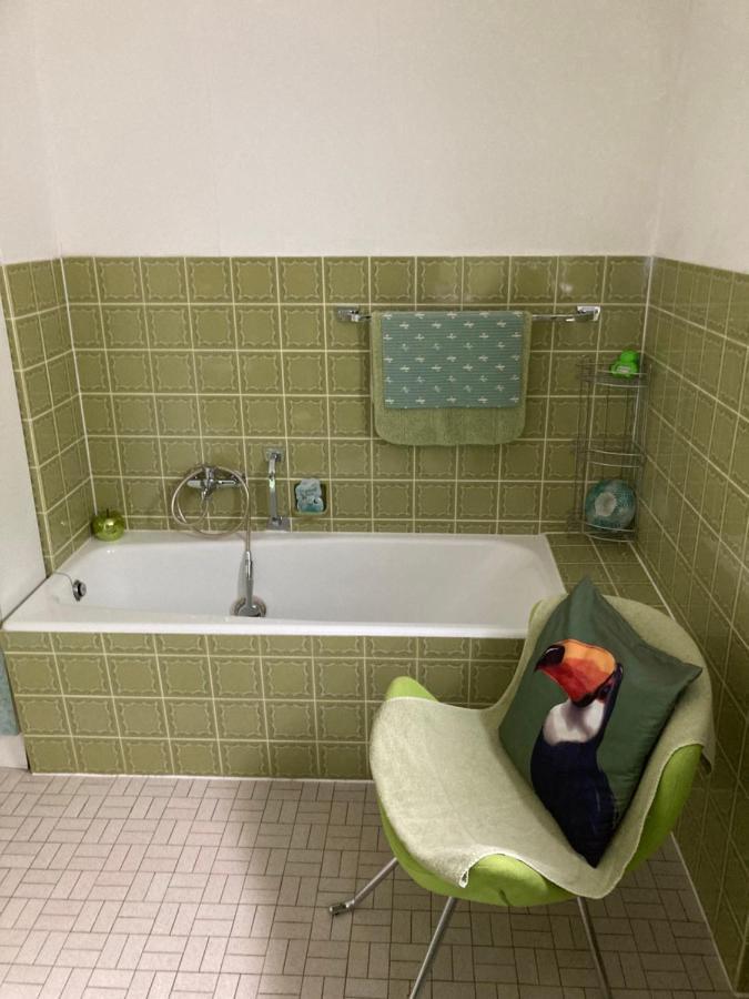 גוסוויינשטיין Ferienwohnung Im Gruenen מראה חיצוני תמונה